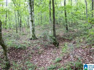 22 Williams Dr, Wedowee, AL 36278