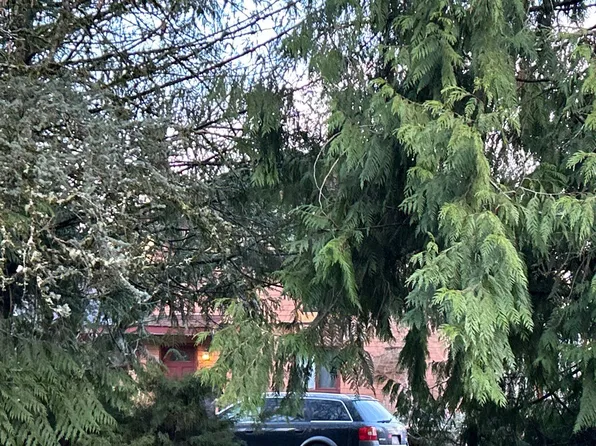 22705 163rd Ave E, Graham, WA 98338