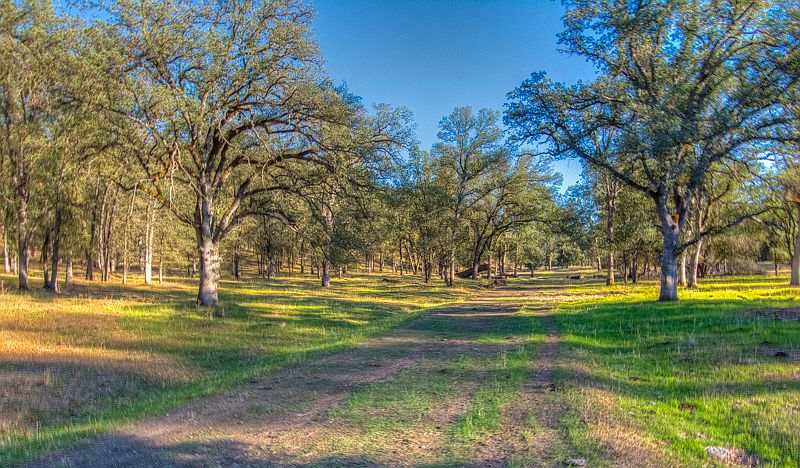 1st image of Palo Cedro Hts