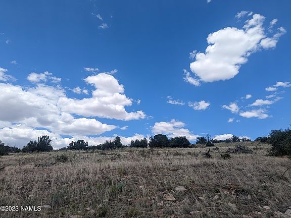 4th image of 6443 Black Burro Loop Lot A