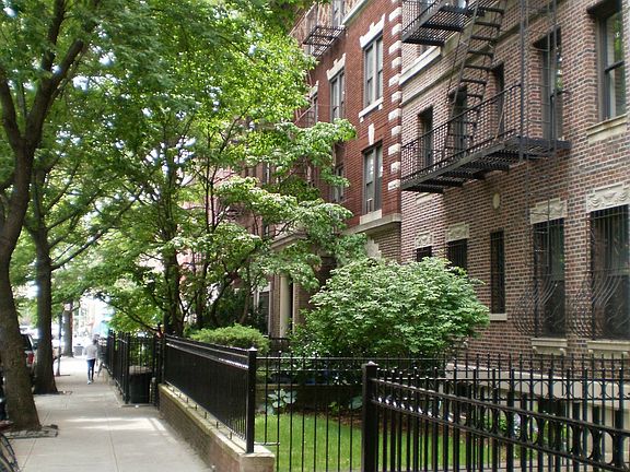 Tree Lined Block
