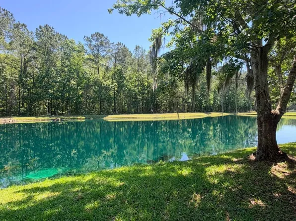 145 DOVER BLUFF Drive, Orange Park, FL 32073