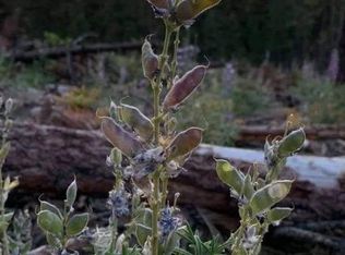 600 Bliss Rd, Sprague River, OR 97639