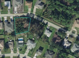 16 Rosepetal Ln, Palm Coast, FL 32164