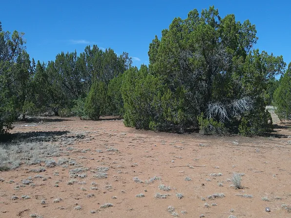 Concho Hwy Lot 3, Concho, AZ 85924