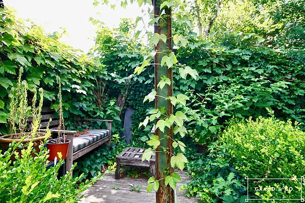 Rented by Grand & Co. | media 33