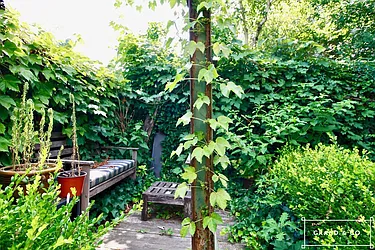 Rented by Grand & Co.