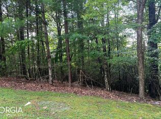 40 Double Knobs Dr, Hayesville, NC 28904