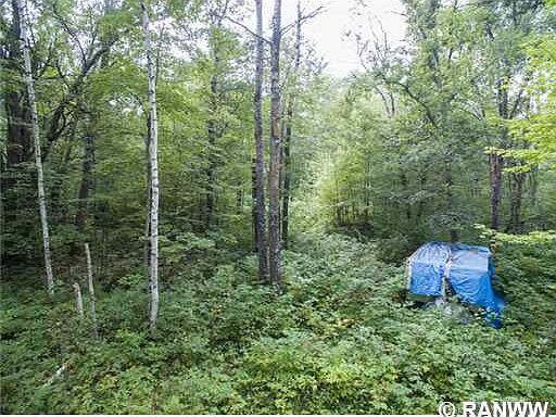 4th image of N 9165 Riverwood Road