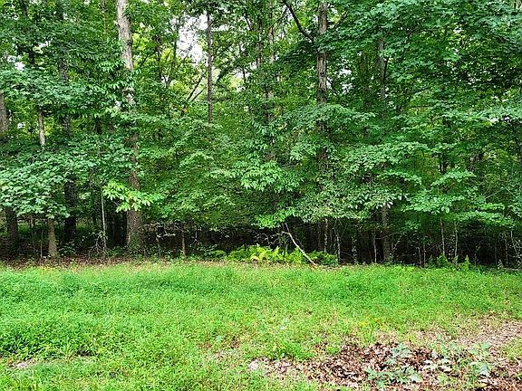 5th image of 8 Mountain Wood Dr