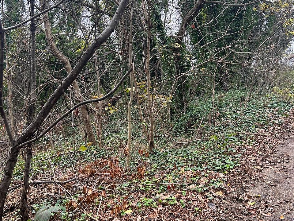 2nd image of 0 Dawson Point Lots 57 #&-81