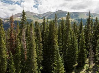 471 Kimmes Ln, Breckenridge, CO 80424