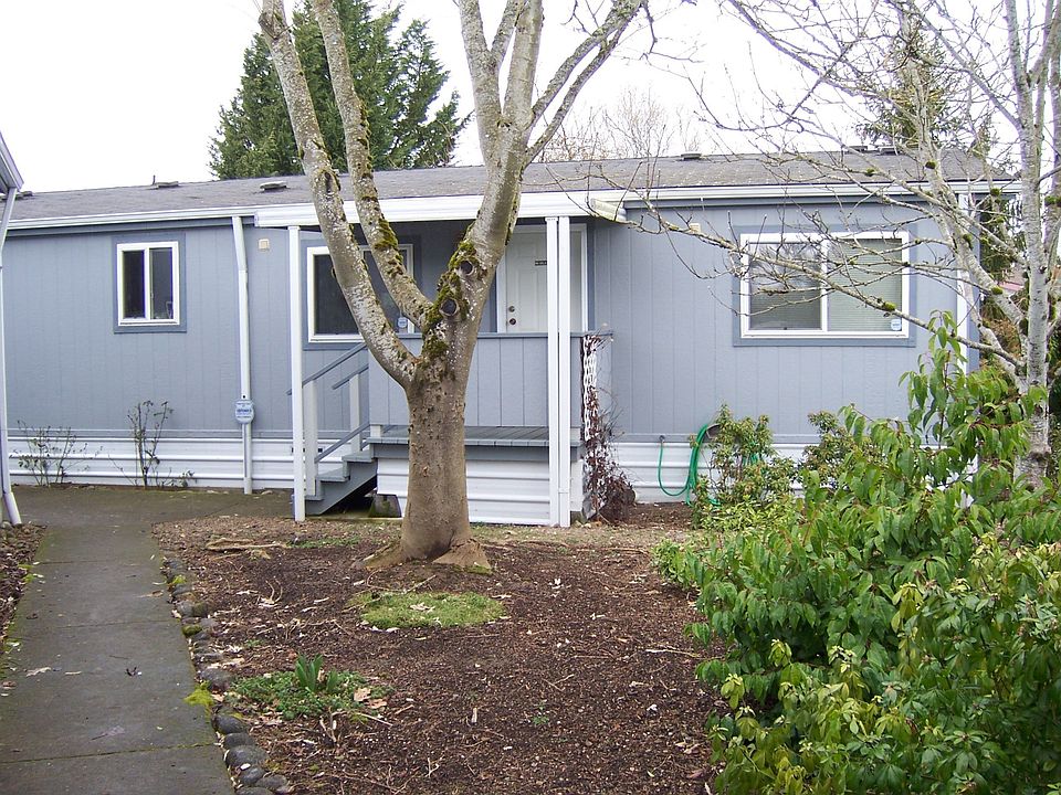 Easy-care front yard