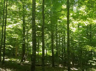 Prince Brook Rd, Osceola, NY 13437