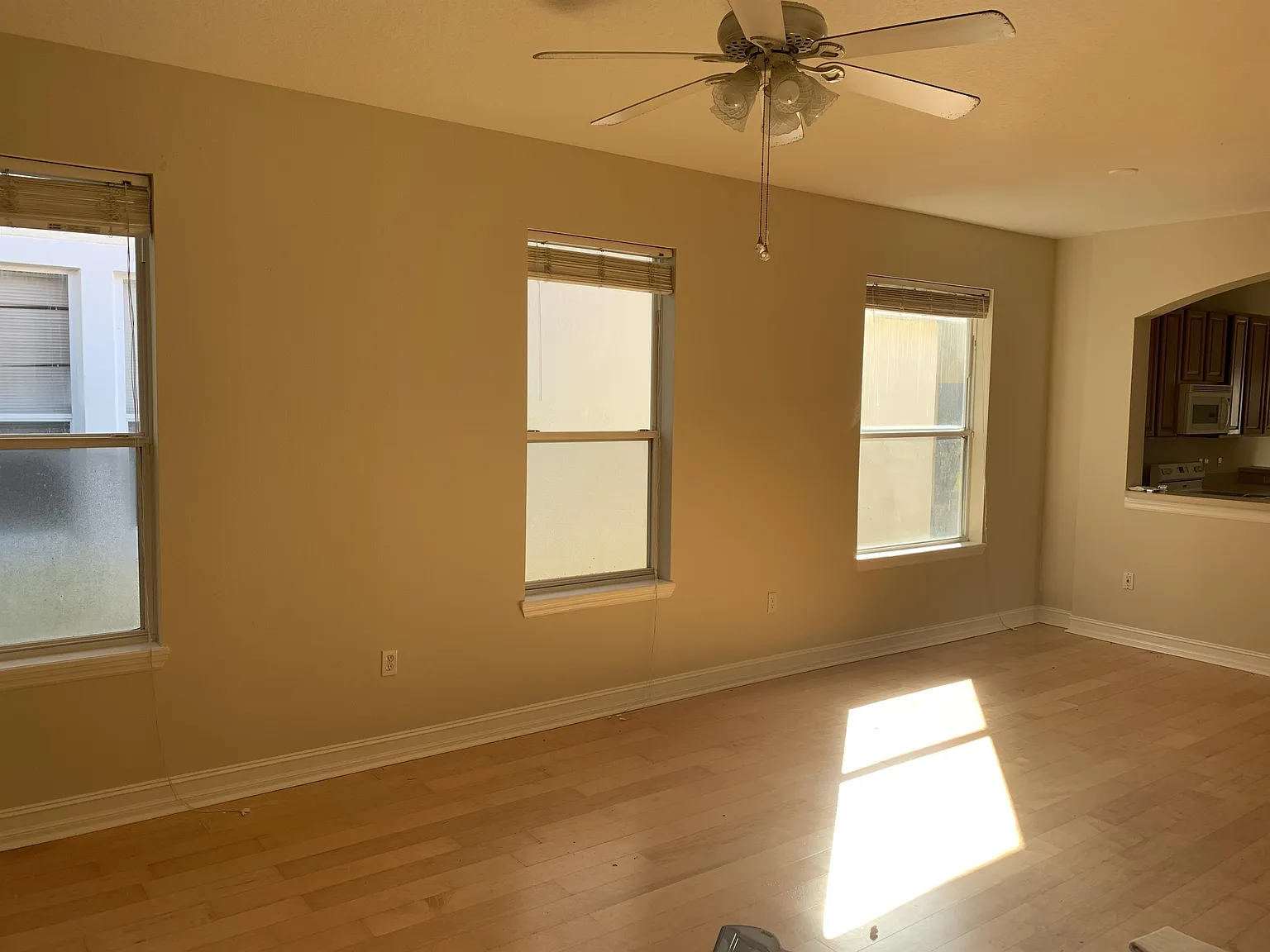 3343 Bracken Fern - 1 — Photo 2