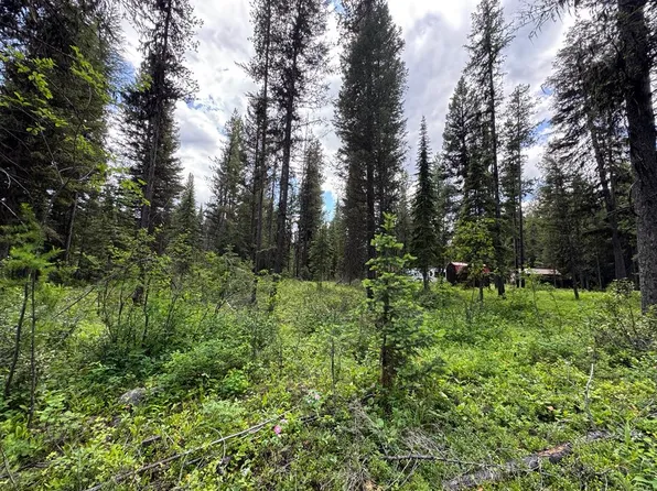 768 Deep Woods Trl, Polebridge, MT 59928
