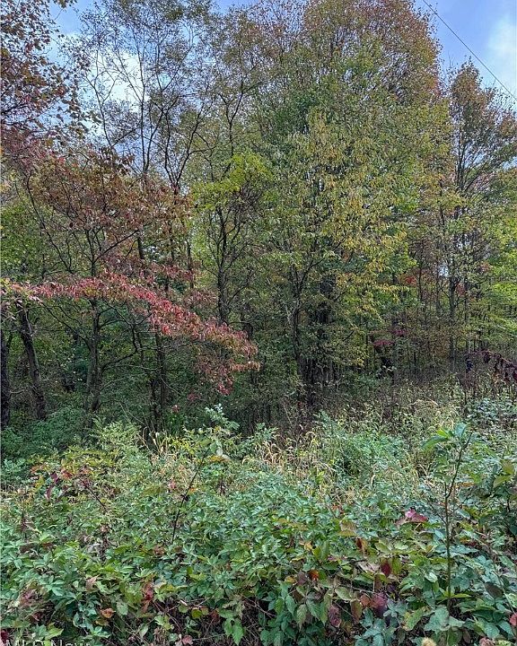 2nd image of 19600 County Road 124