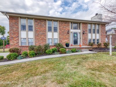 8009 Paradise Dr, Powell, TN, 37849