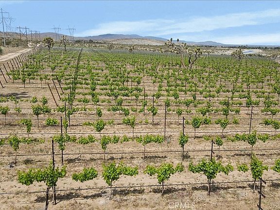 3rd image of 0 Fort Tejon Vic 82nd St E