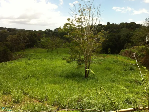 0 Highway 108 Miradero Mayaguez Finca #Km-4.5-4, Mayaguez, PR 00680