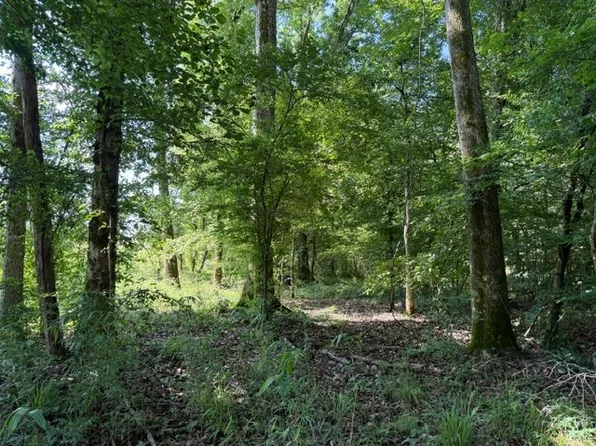 949 Ford Rd, Homer, LA 71040