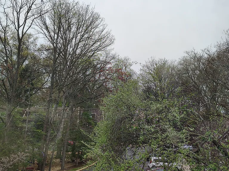 Greenmont Ct — Photo 25