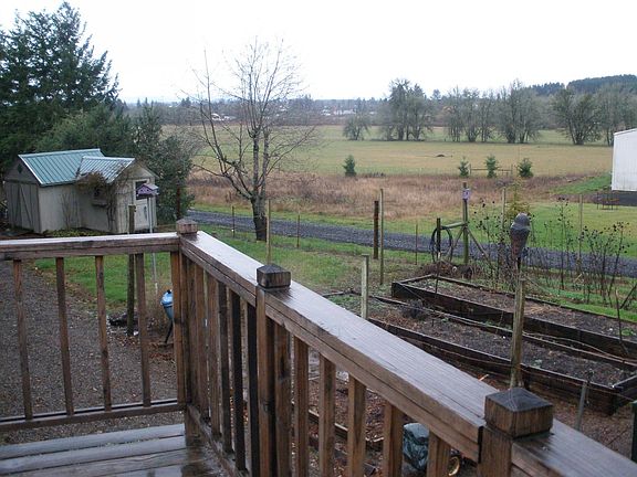 View to the East