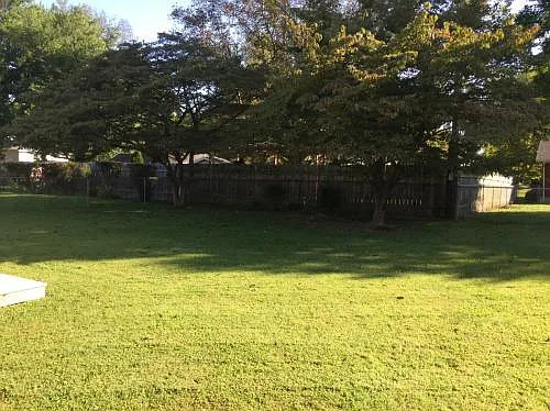 Fully fenced rear yard