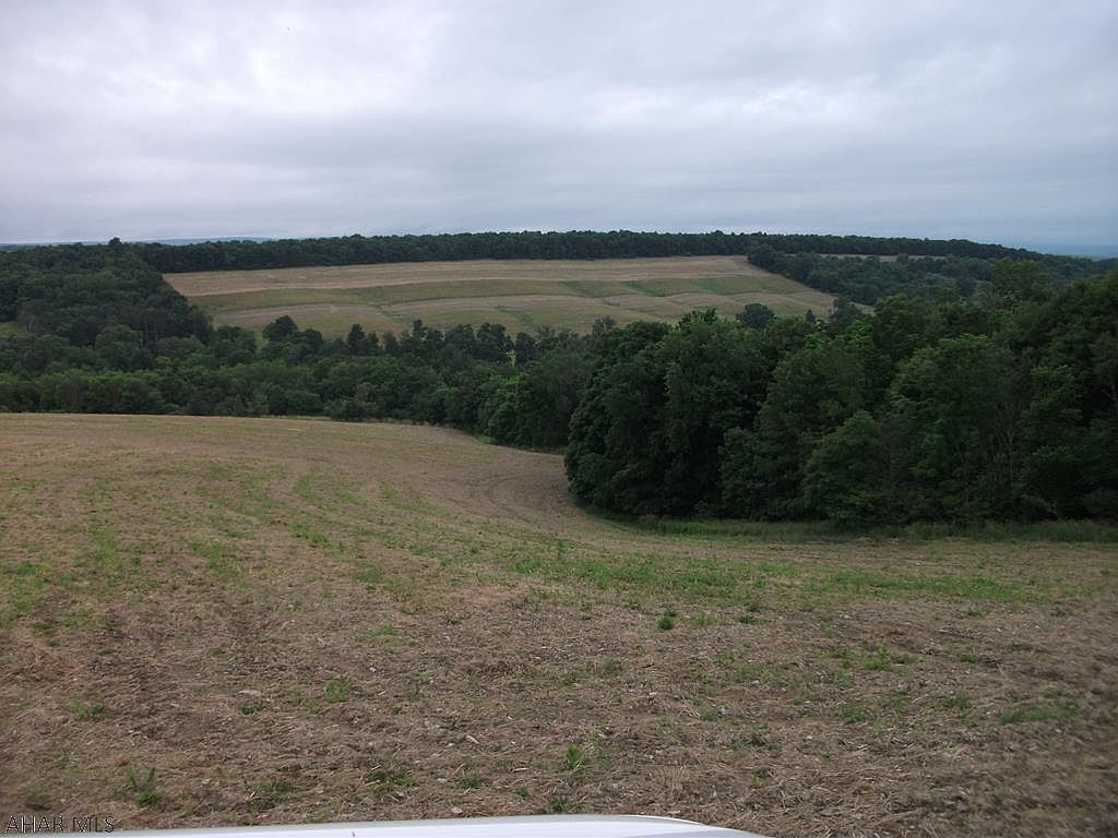 1260 Adams Run Rd, New Paris, PA 15554 | Zillow