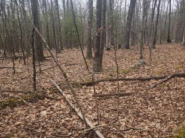 LOT 341 Timber Ridge Dr, Hawley, PA 18428