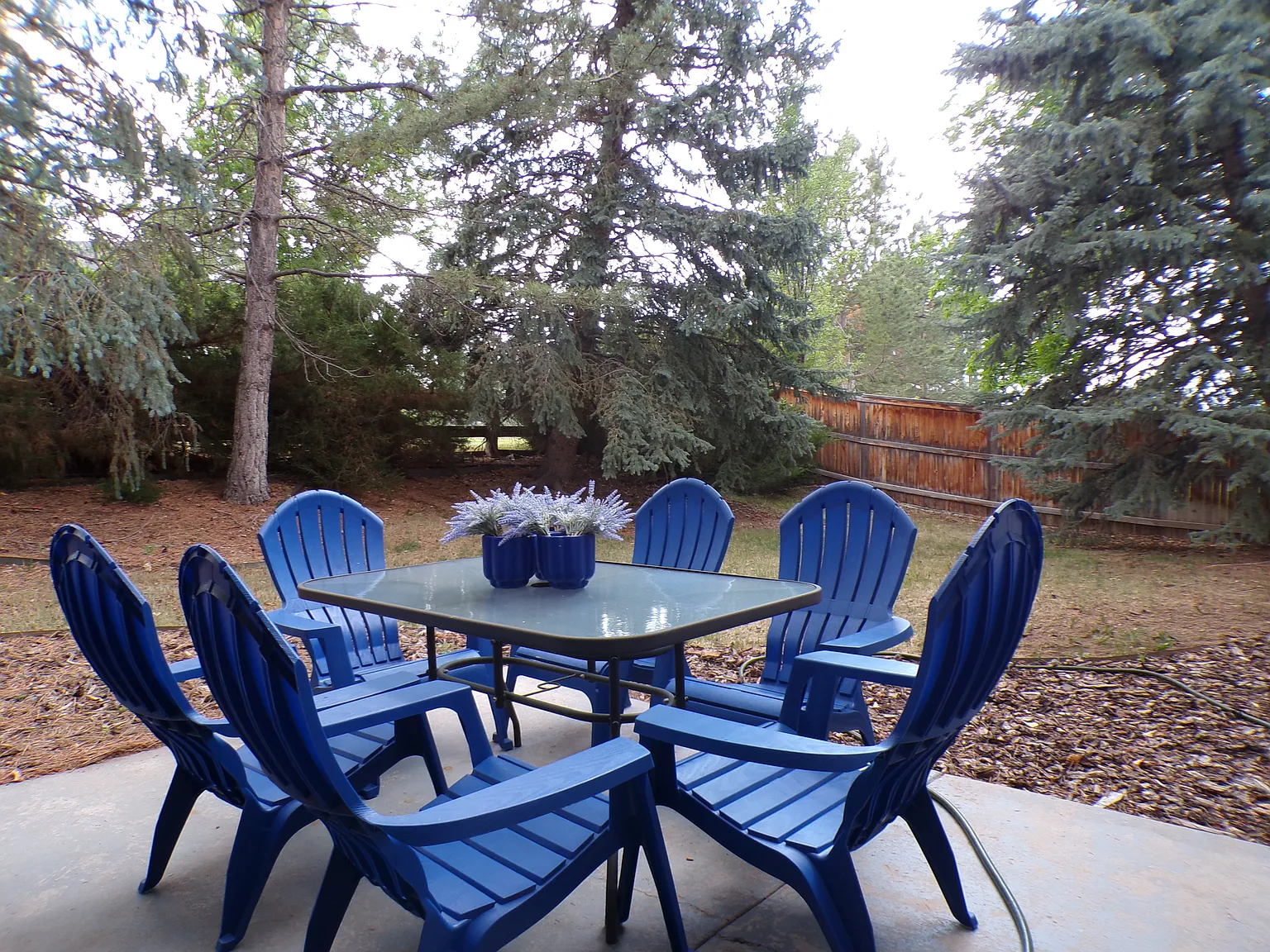 4 bed, 2.5 bath, $3,999 — Photo 2