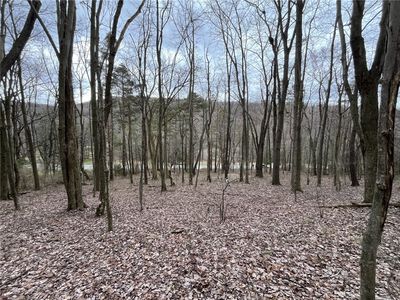 0 Pritts Distillery Rd, Champion, PA, 15622