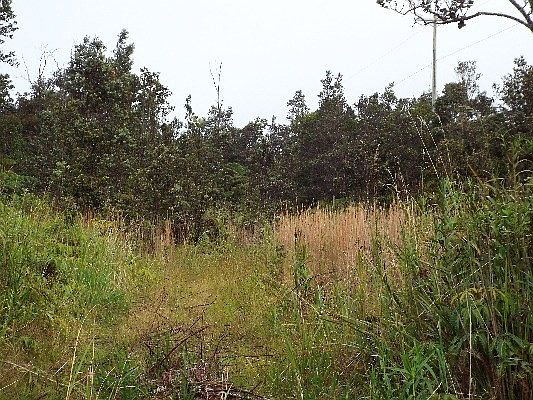 2nd image of Nahelenani Lot 577