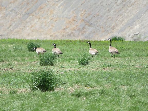 5th image of 18 Vernon Rd