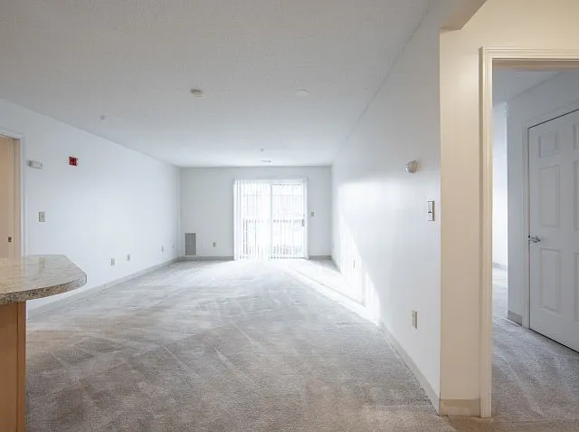 Living Room & Balcony