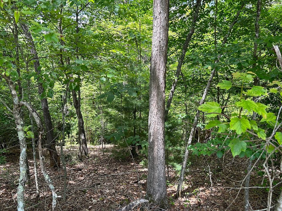 2nd image of Honeysuckle Dr
