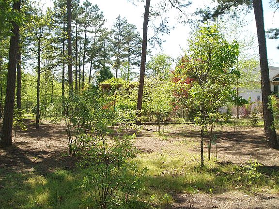 3rd image of 167 Cifuentes Way