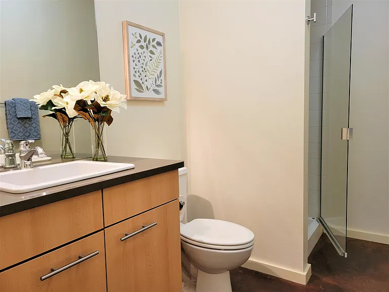 Second bathroom with large walk in shower