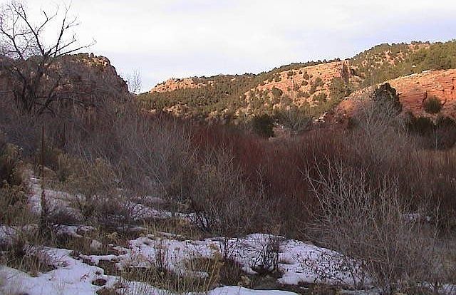 For Sale: 9096 Garden Park Road, Canyon City, CO 81212