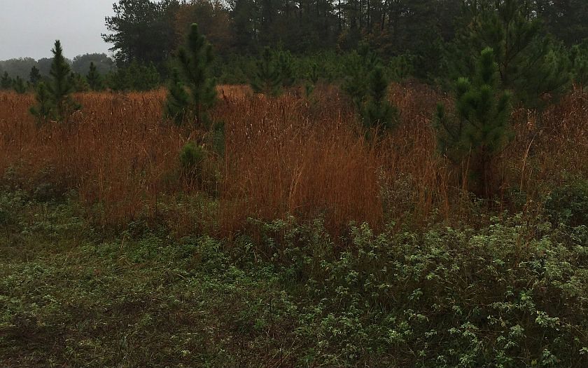 2nd image of 10705 SW 107th Loop