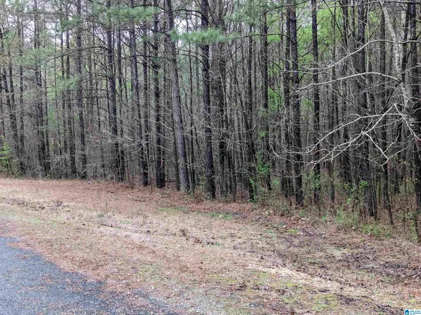 5 Treetop Ln, Ashville, AL 35953