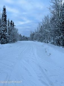 L48 S Otter Dr, Willow, AK, 99688