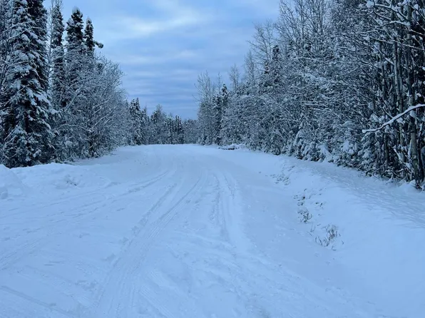 L48 S Otter Dr, Willow, AK 99688