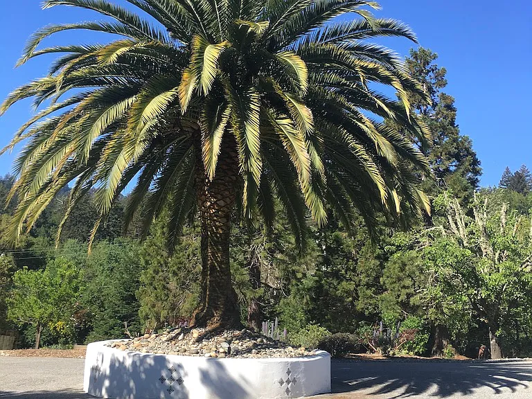 481 N Santa Cruz Ave — Photo 15