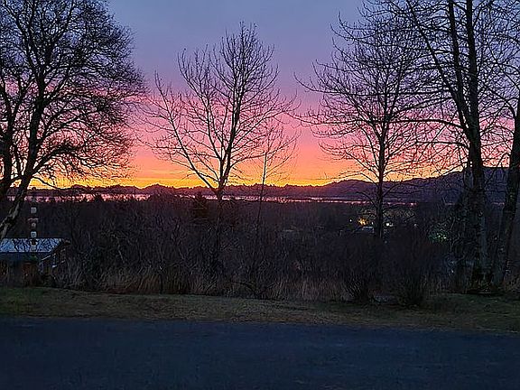 Morning Captured 2021