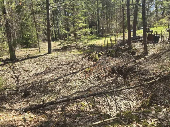 4699 Johnson Rd, Oscoda, MI 48750