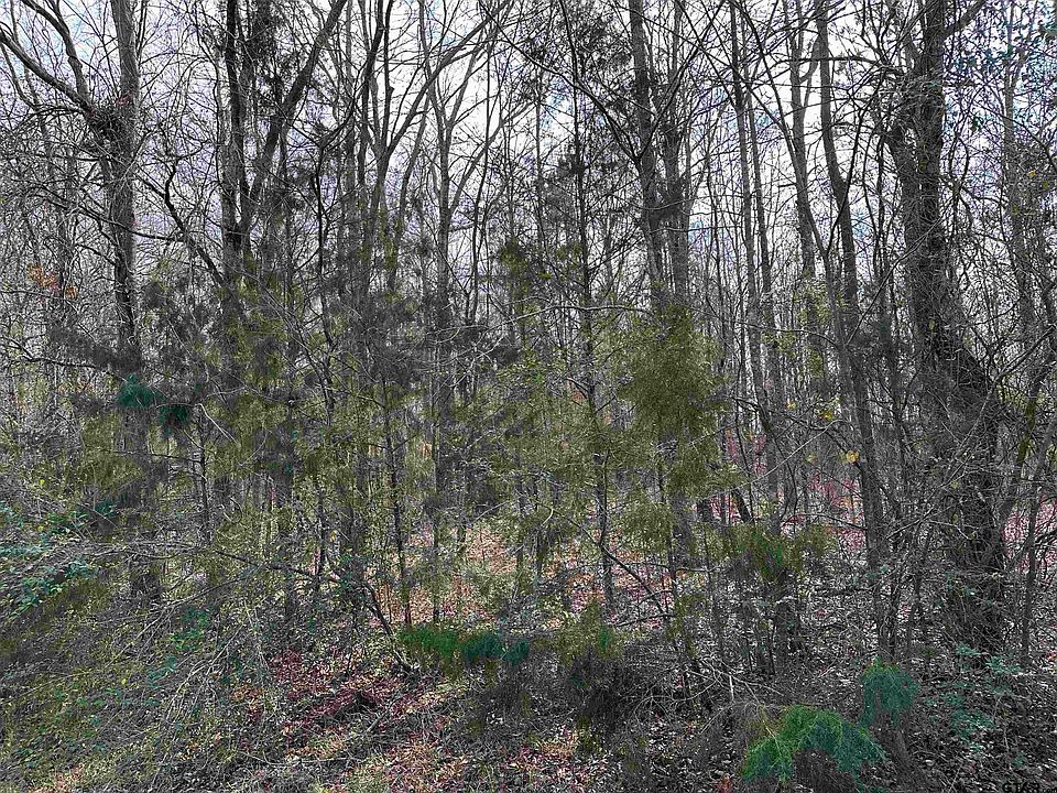 1st image of 14028 County Road 2141