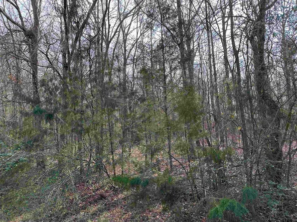 14028 County Road 2141, Troup, TX 75789