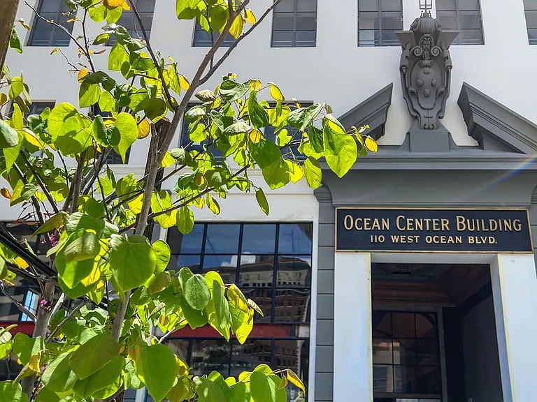 Ocean Center — Photo 11