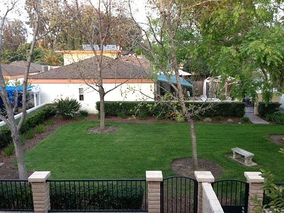 backyard view, green belt